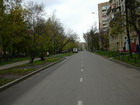 Улица Гришина